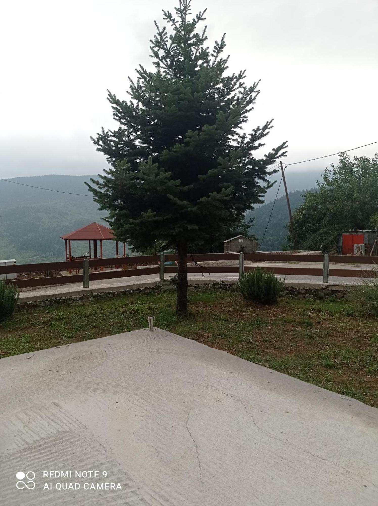 Άγρια Λούλουδα Κατοικία Αρμονία Timfristos Luaran gambar