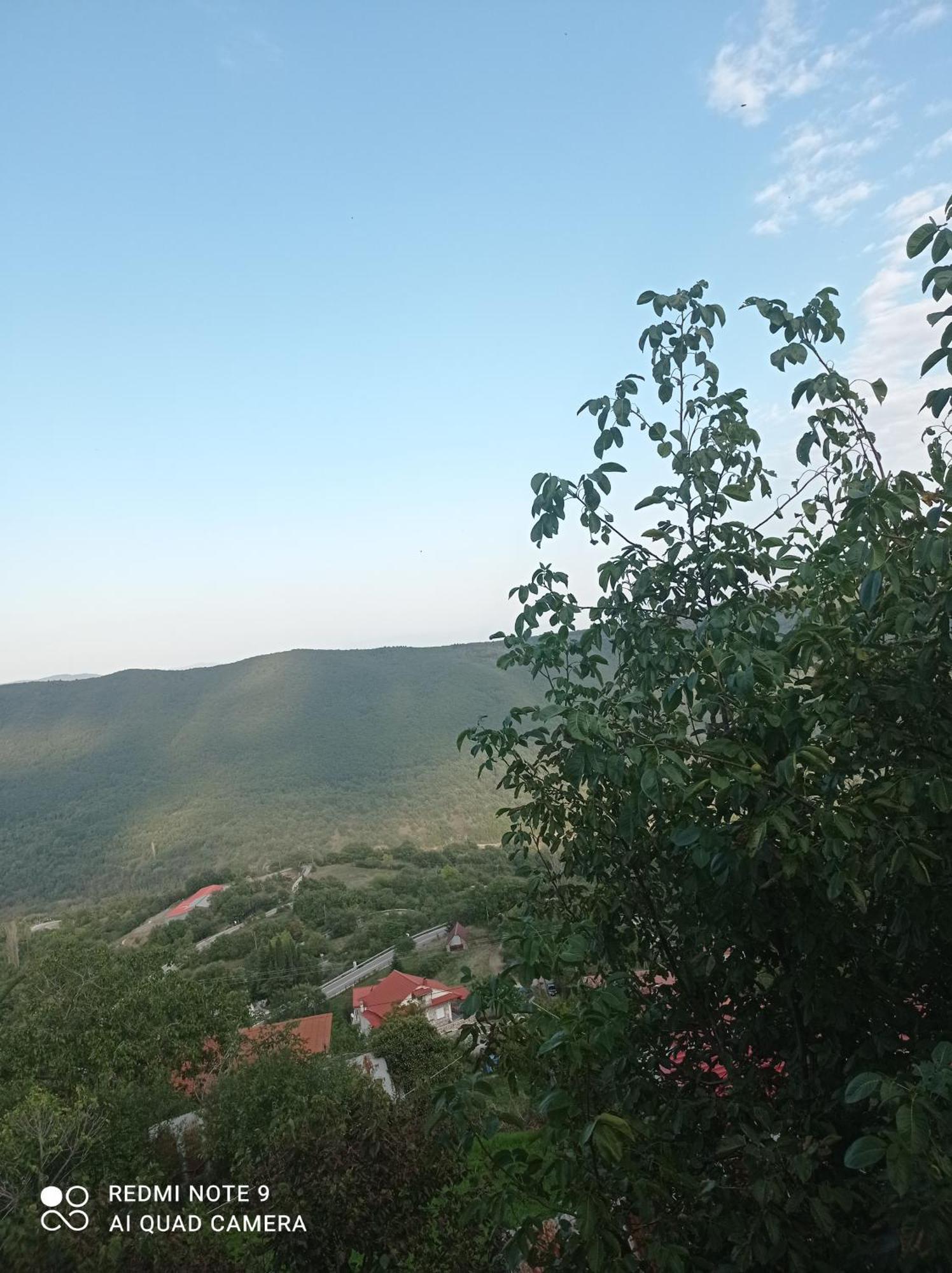 Άγρια Λούλουδα Κατοικία Αρμονία Timfristos Luaran gambar