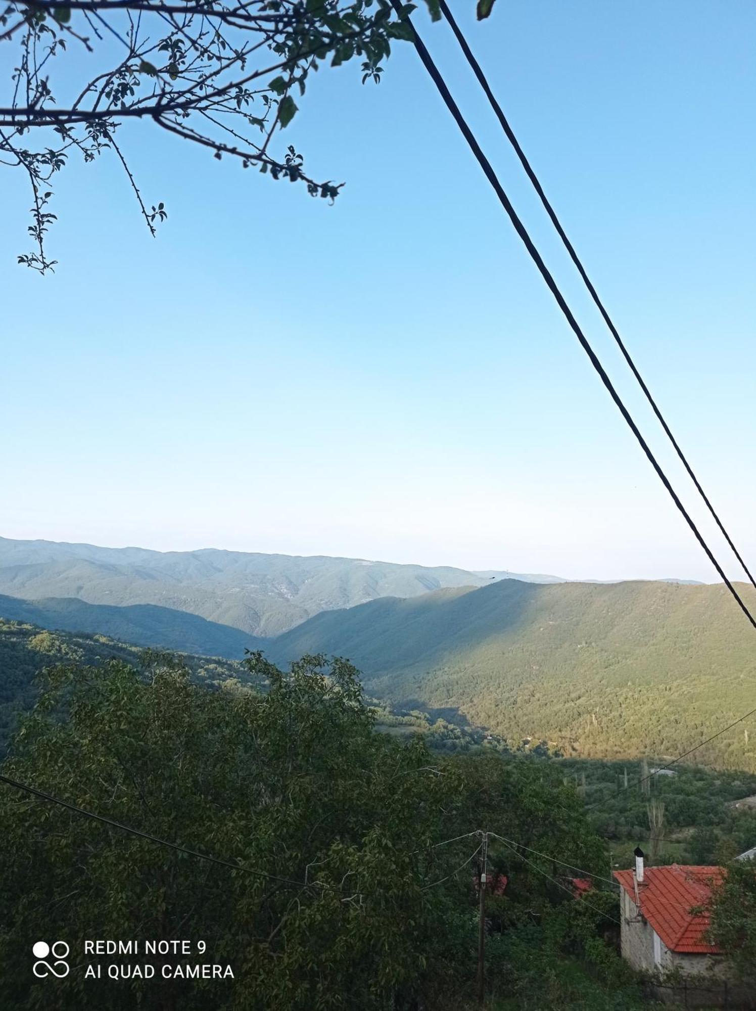 Άγρια Λούλουδα Κατοικία Αρμονία Timfristos Luaran gambar